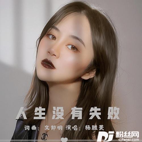 人生没有失败的专辑