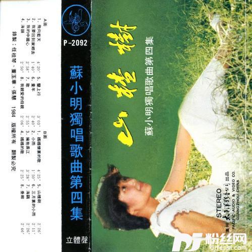 我的中国心