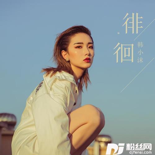 徘徊DJ版的专辑