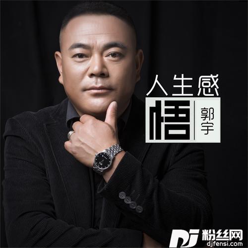 人生感悟DJ何鹏版的专辑