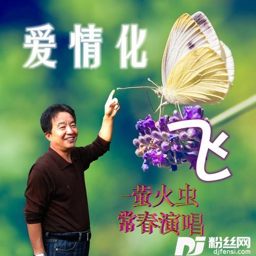 爱情化蝶飞cover:天籁天