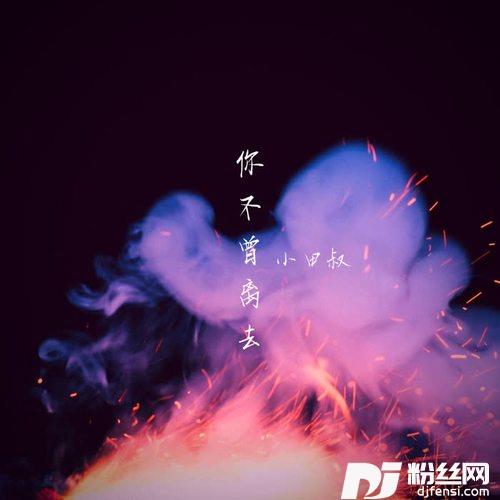 你不曾离去（17周年版）