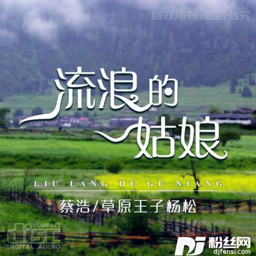 流浪的姑娘合唱版的专辑