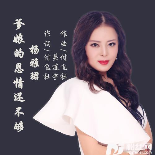 爹娘的恩情还不够的专辑