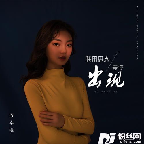 我用思念等你出现的专辑