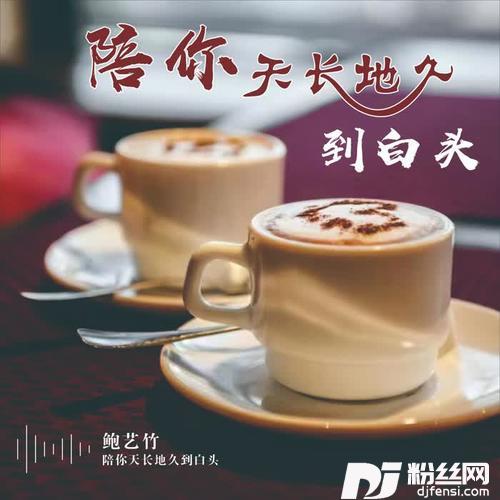 陪你天长地久到白头的专辑