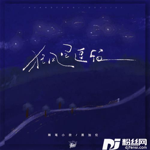 狂风里逗留的专辑