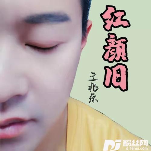 红颜旧cover:刘涛