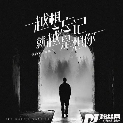 越想忘记就越想你（DJ默涵版）