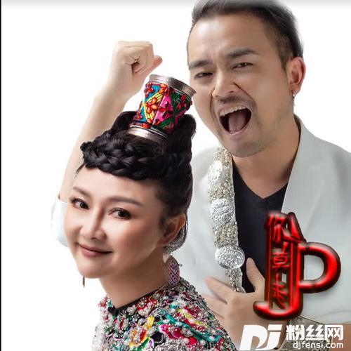 你莫走DJ版的专辑