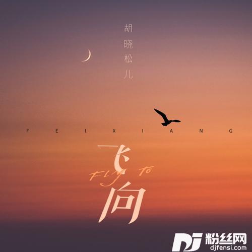 飞向