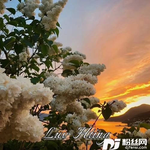 RunFreewithHUTSremix:DeepChills|Huts