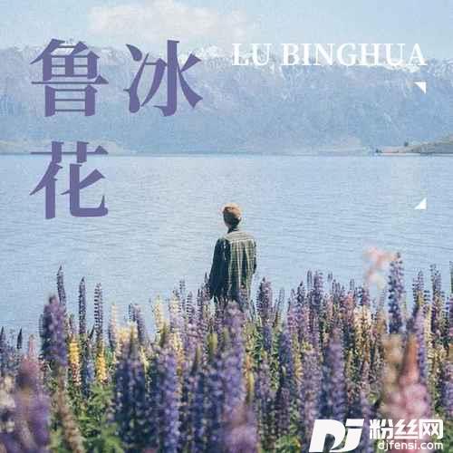 鲁冰花女声版