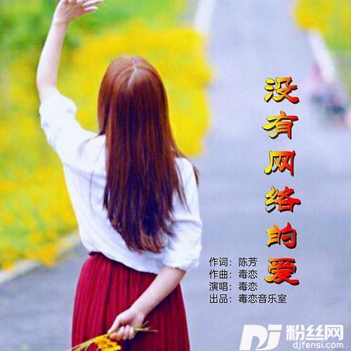没有网络的爱的专辑