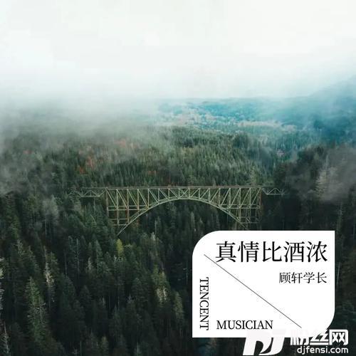 真情比酒浓cover:龙飘飘