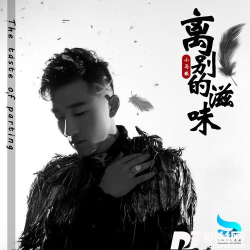 离别的滋味DJ默涵版的专辑