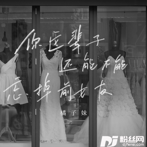 你这辈子还能不能忘掉前女友的专辑