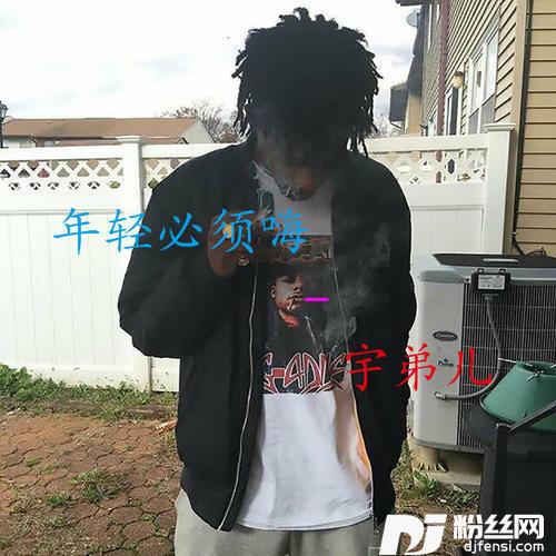 嘉年华越南鼓DJ版的专辑