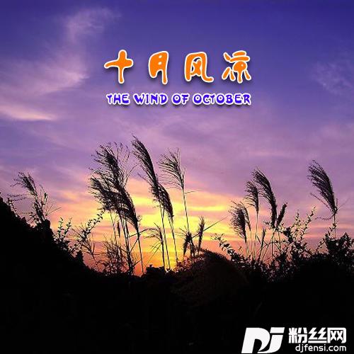 心若向阳
