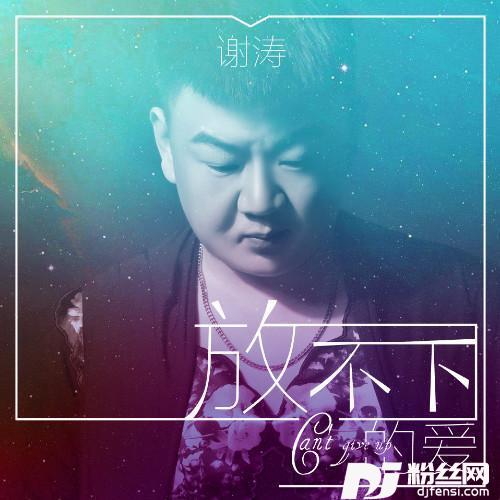 放不下的爱DJ何鹏版