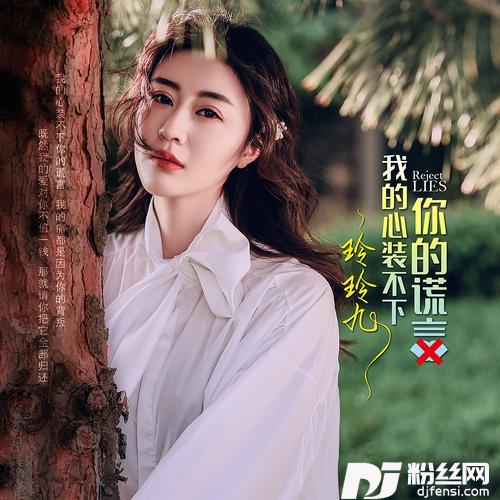 我的心装不下你的谎言