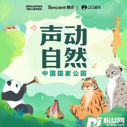 雨林的呼吸的专辑