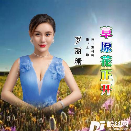 草原花正开
