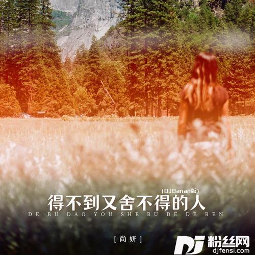 得不到又舍不得的人DJBanan版