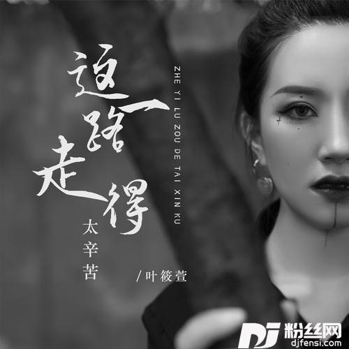 这一路走得太辛苦DJ彭锐版