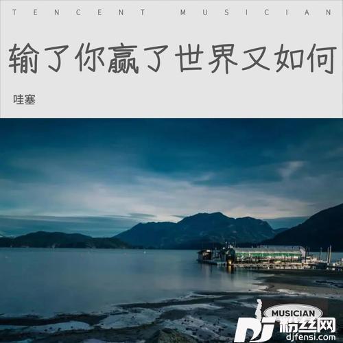 输了你赢了世界又如何cover:林俊杰的专辑