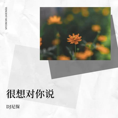 很想对你说其他的专辑