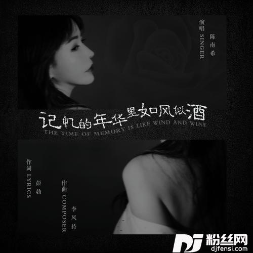 在记忆的年华里如风似酒