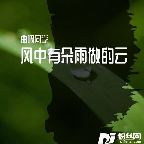 风中有朵雨做的云cover:小阿枫