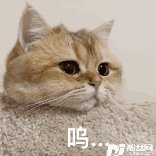 归去来兮的专辑