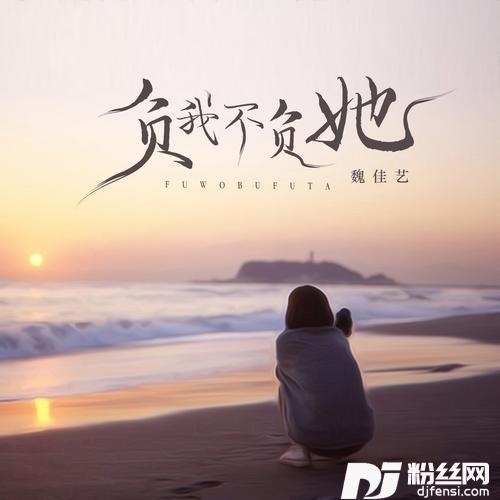 负我不负她的专辑图片