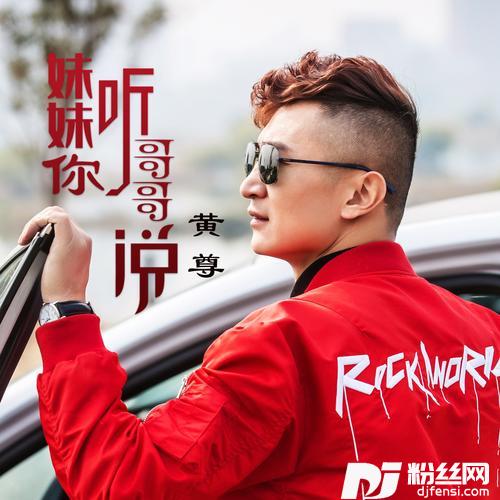 妹妹你听哥哥说DJ何鹏版