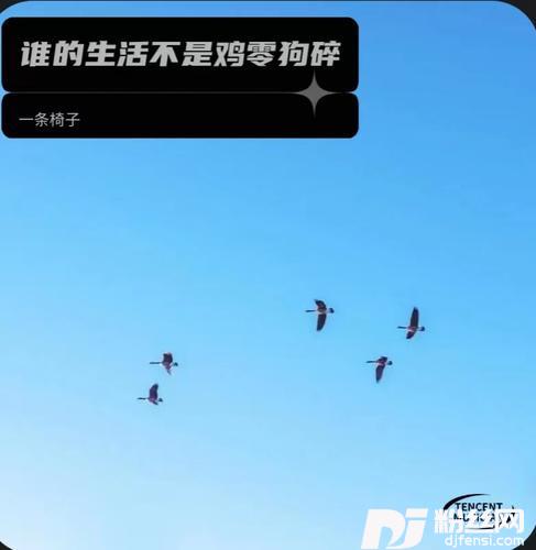 谁的生活不是鸡零狗碎