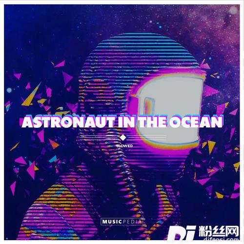 AstronautInTheOceanSlowed的专辑