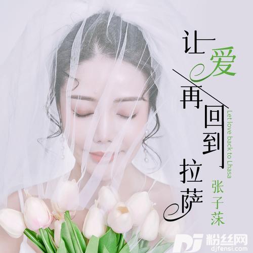 让爱再回到拉萨（DJ版）的专辑