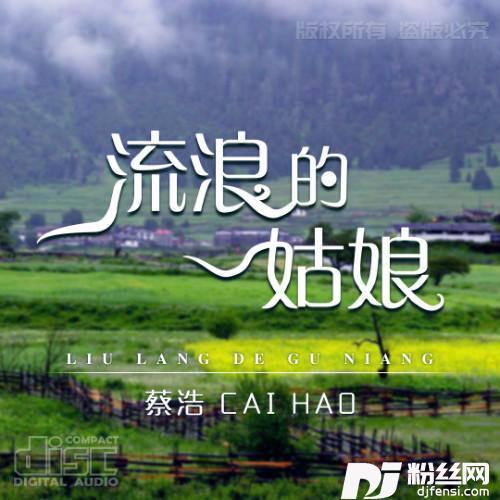 流浪的姑娘的专辑