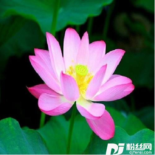 心经