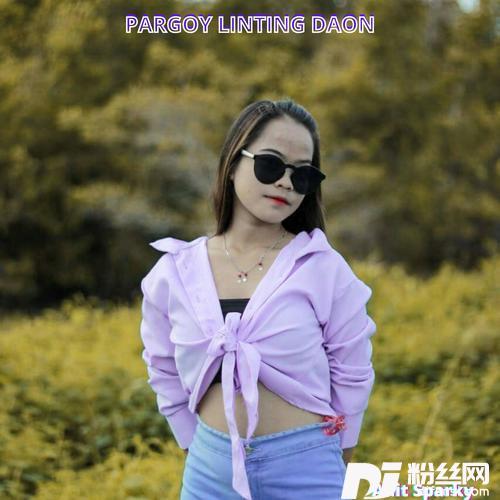 PargoyLintingDaon