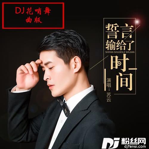 誓言输给了时间《DJ花哨版》的专辑
