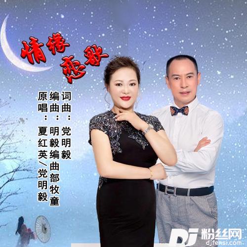 情缘恋歌