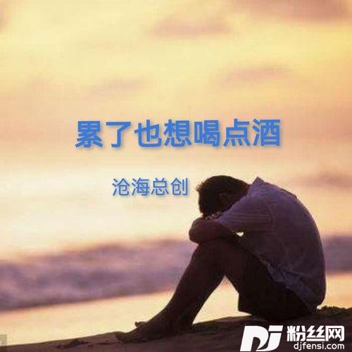 累了也想喝点酒cover:王爱华的专辑