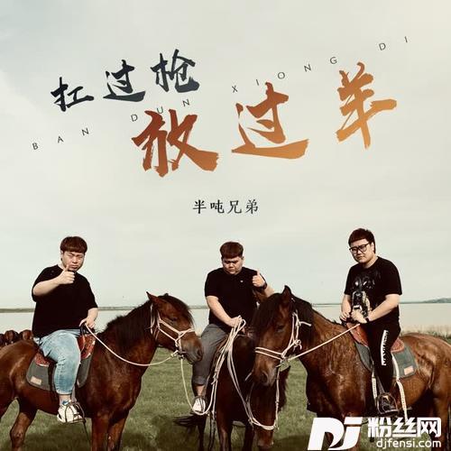 扛过枪放过羊DJ伟然版的专辑