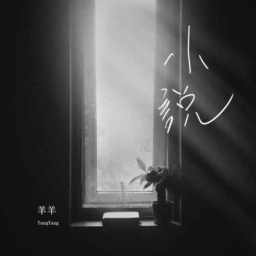 小说的专辑