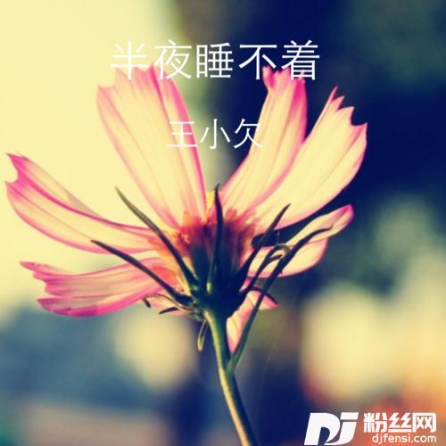 半夜睡不着
