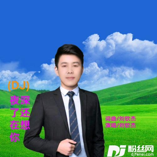 DJ版-夜深了还在想你的专辑