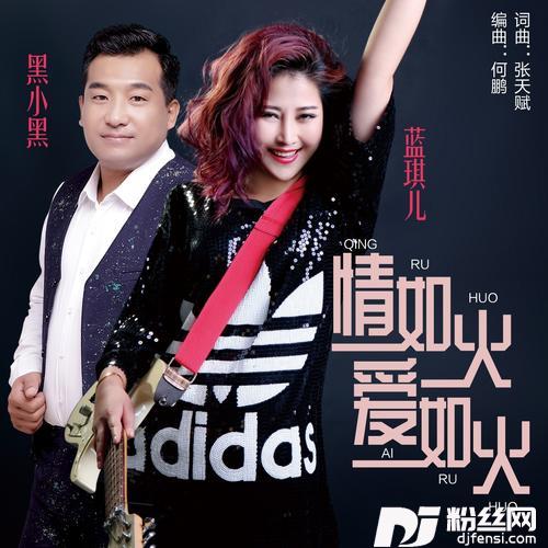 情如火爱如火DJ何鹏版